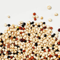 Vegan Proteins