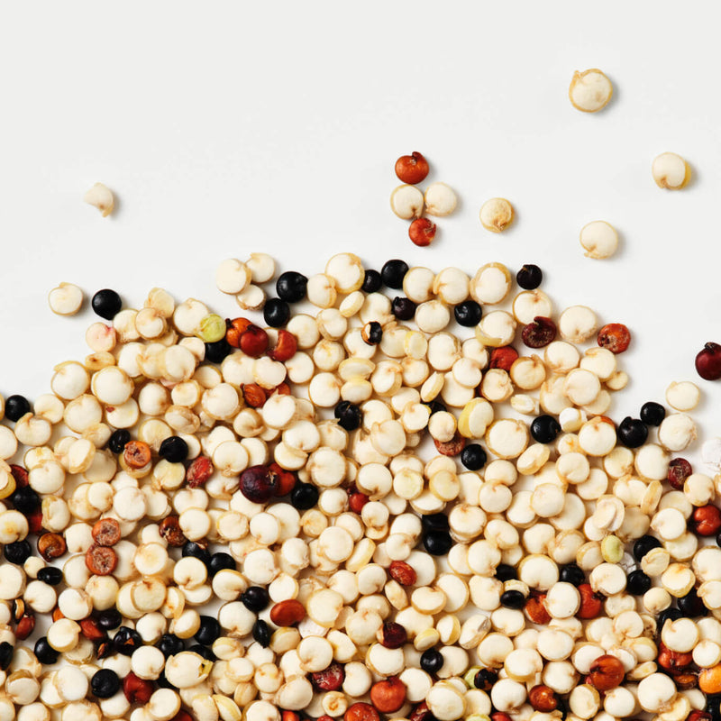 Vegan Proteins