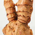 Curcumin